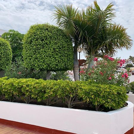Ocean Breeze And Seaview Resort Costa Adeje  Luaran gambar