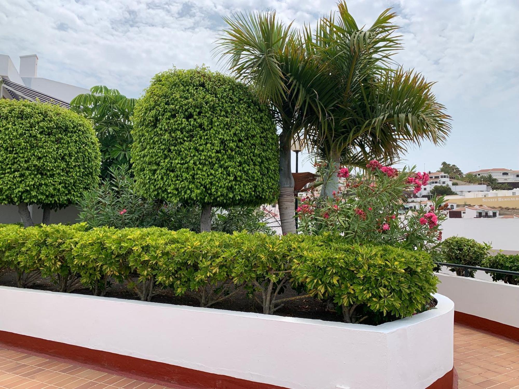 Ocean Breeze And Seaview Resort Costa Adeje  Luaran gambar